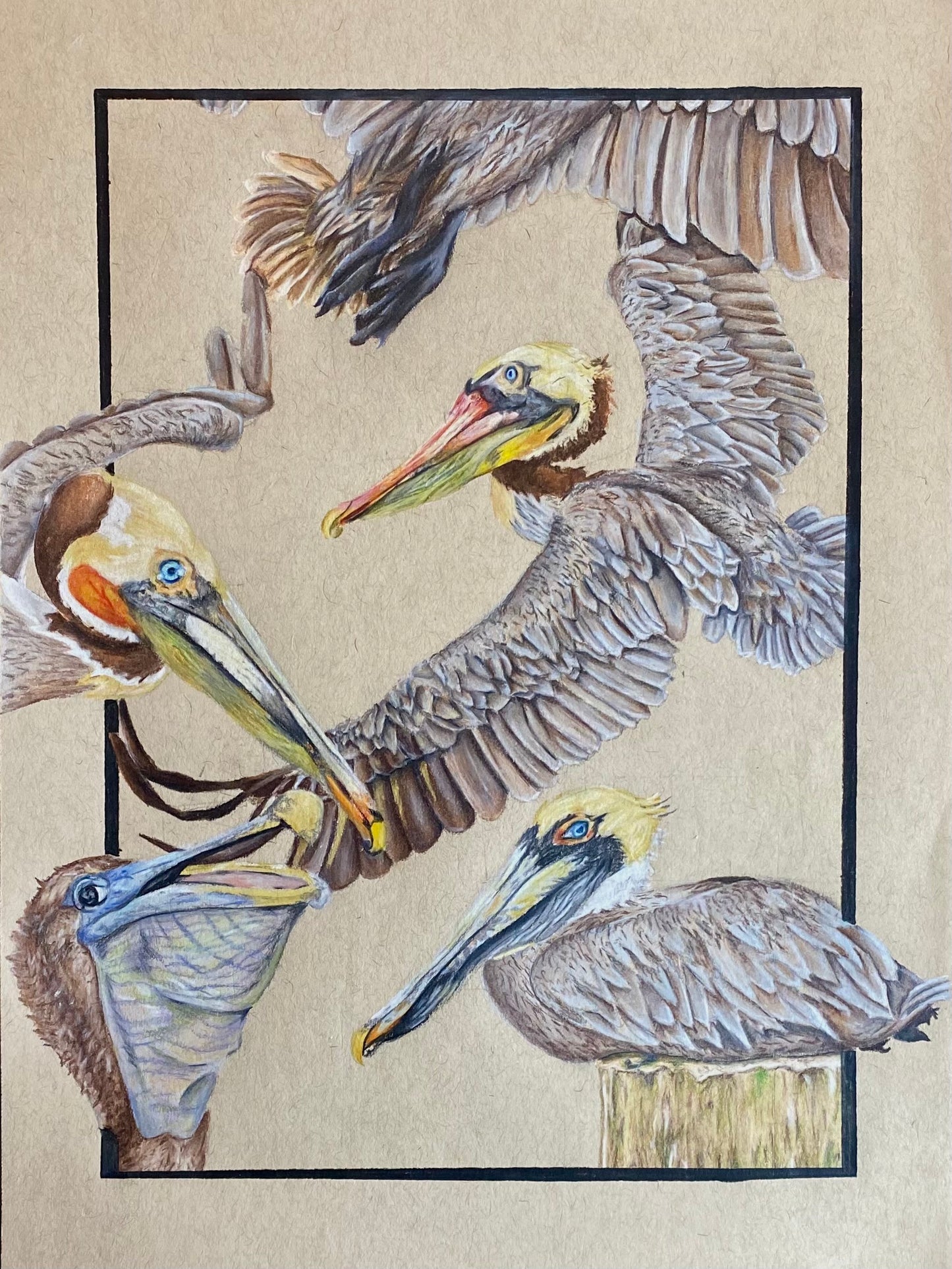 Birds of a Feather