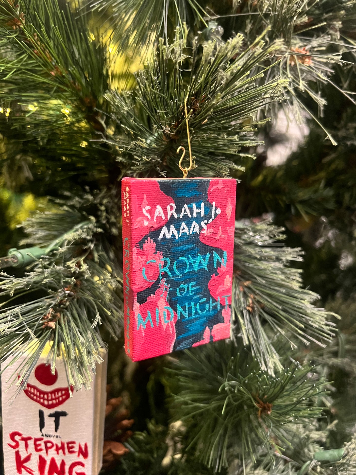 Crown Of Midnight Little Library