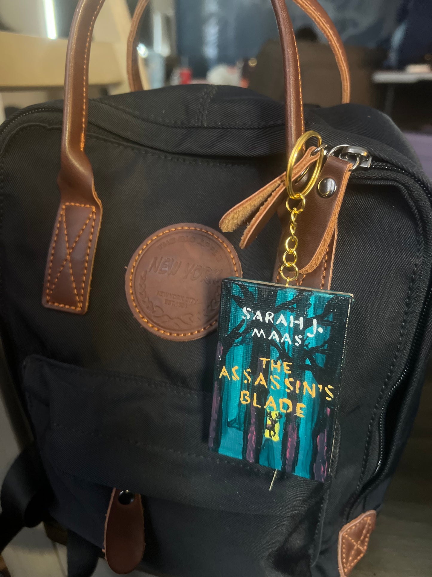 The Assassin's Blade Little Library